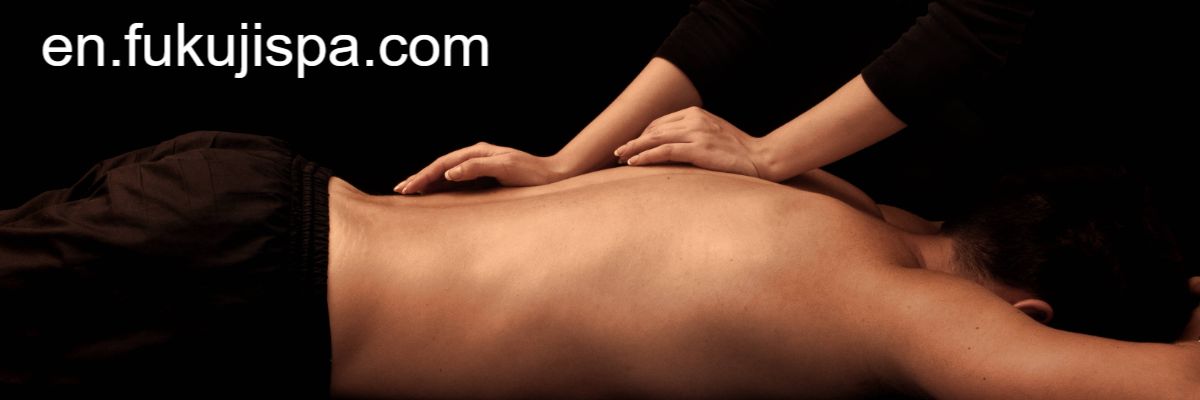 en.fukujispa.com